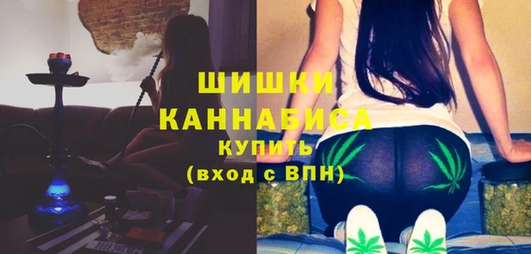 гидра Новодвинск
