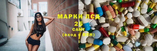 прущий лед Новозыбков