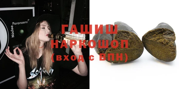 гидра Новодвинск
