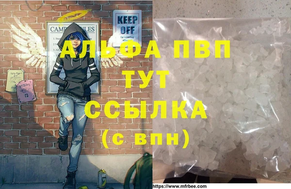 гидра Новодвинск