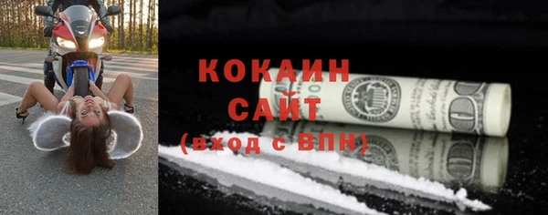 прущий лед Новозыбков