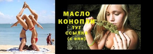 прущий лед Новозыбков