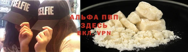 прущий лед Новозыбков