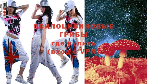 гидра Новодвинск