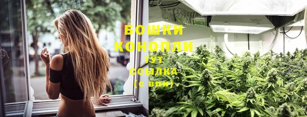 гидра Новодвинск