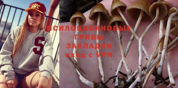 прущий лед Новозыбков