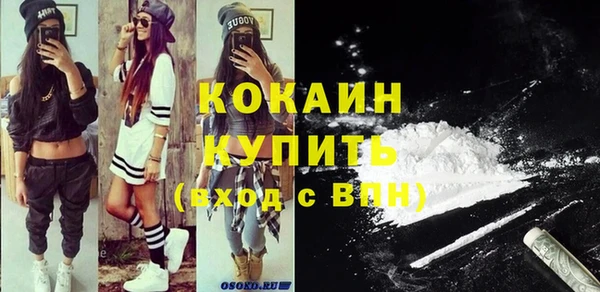 прущий лед Новозыбков