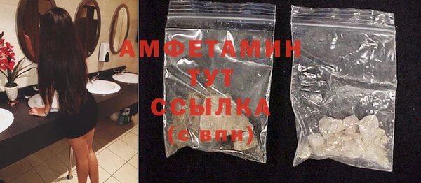 гидра Новодвинск