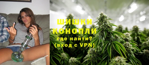 прущий лед Новозыбков
