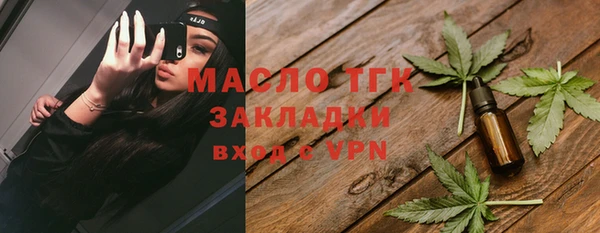 гидра Новодвинск