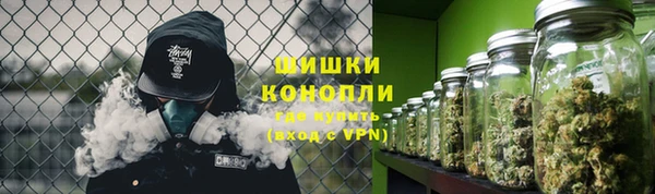 прущий лед Новозыбков