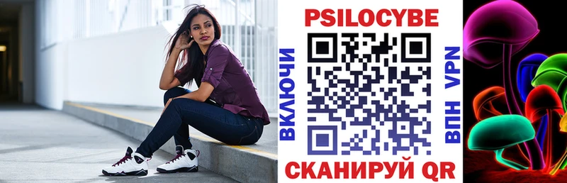 Галлюциногенные грибы Psilocybe  наркошоп  кракен сайт  Приозерск 